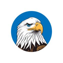 HawkFi