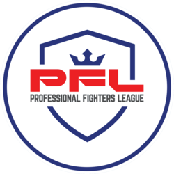 Professional Fighter